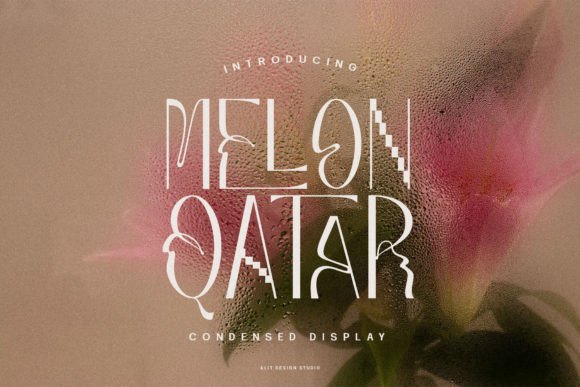 Melon Qatar: A Contemporary Sans Serif Typeface for Elegant Editorial Design