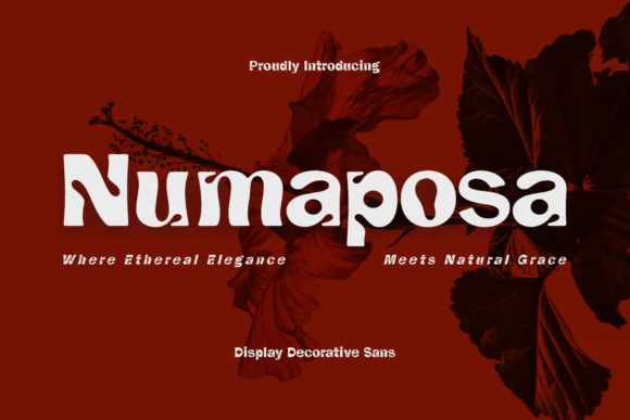 Numaposa: A Decorative Display Font That Makes Your Brand Feel Alive